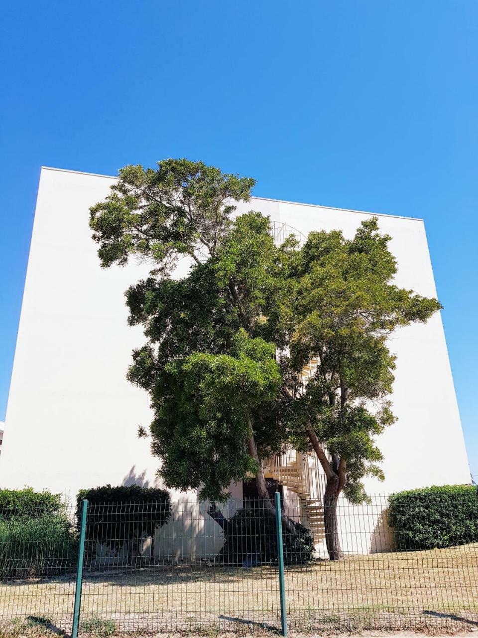 Studio Calme Avec Parking Et Ascenseur -304- Canet-en-Roussillon Exteriör bild