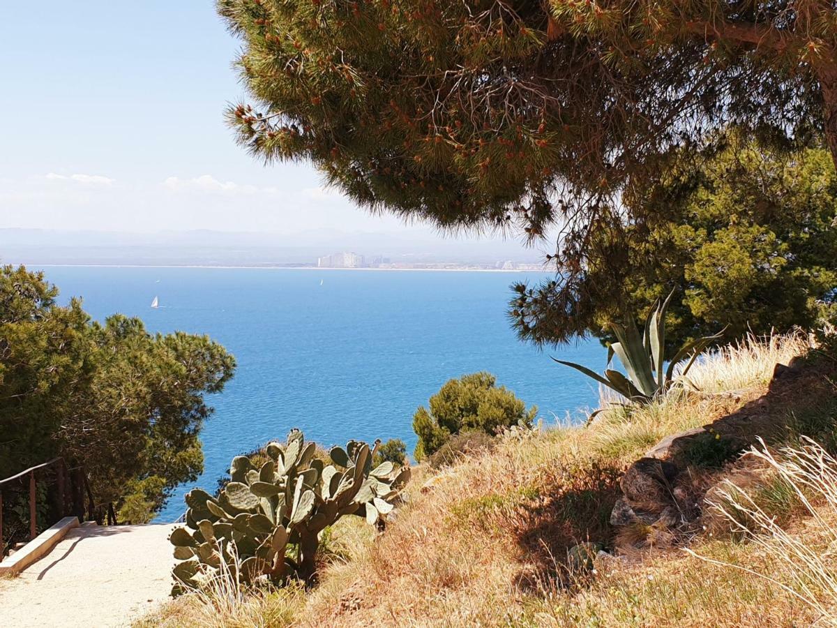 Studio Calme Avec Parking Et Ascenseur -304- Canet-en-Roussillon Exteriör bild
